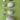 670dca8034be6e479edf2839_img-7157_1750274897892.jpeg