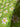 670dca8034be6e479edf2839_img-7195_1787786412860.jpeg