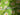 670dca8034be6e479edf2839_img-7196_1787786412861.jpeg