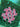 670dca8034be6e479edf2839_img-7294_1783810563394.jpeg