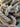 670dca8034be6e479edf2839_img-7314_1783811208885.jpeg