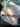 670dca8034be6e479edf2839_img-7322_1783811532133.jpeg