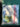 670dca8034be6e479edf2839_img-7329_1783811884637.jpeg