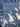 670dca8034be6e479edf2839_img-7346_1783812647177.jpeg