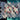 670dca8034be6e479edf2839_img-7353_1783812839549.jpeg