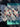 670dca8034be6e479edf2839_img-7353_1783812839549.jpeg