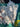670dca8034be6e479edf2839_img-7359_1783812853657.jpeg