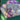 670dca8034be6e479edf2839_img-7372_1783813346265.jpeg