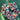 670dca8034be6e479edf2839_img-7425_1783816223493.jpeg