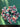 670dca8034be6e479edf2839_img-7425_1783816223493.jpeg