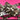 670dca8034be6e479edf2839_img-7478_1778081421073.jpeg