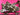 670dca8034be6e479edf2839_img-7478_1778081421073.jpeg