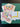 670dca8034be6e479edf2839_img-7566_1783893813890.jpeg