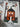 670dca8034be6e479edf2839_img-7592_1785776275151.jpeg