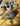 670dca8034be6e479edf2839_img-7680_1790372475286.jpeg