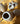 670dca8034be6e479edf2839_img-7681_1790372475286.jpeg