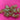670dca8034be6e479edf2839_img-7783_1780083750597.jpeg