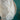 670dca8034be6e479edf2839_img-7783_1785027785954.jpeg