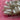 670dca8034be6e479edf2839_img-7804_1780086802805.jpeg