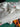 670dca8034be6e479edf2839_img-7812_1785077974943.jpeg