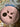 670dca8034be6e479edf2839_img-7837_1791497915383.jpeg