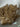 670dca8034be6e479edf2839_img-7844_1791498294359.jpeg