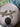 670dca8034be6e479edf2839_img-7845_1791498294360.jpeg