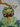 670dca8034be6e479edf2839_img-7857_1785080055358.jpeg