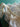670dca8034be6e479edf2839_img-7868_1785080329825.jpeg