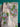 670dca8034be6e479edf2839_img-7888_1785080968508.jpeg