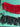 670dca8034be6e479edf2839_img-7912_1785082276494.jpeg