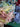 670dca8034be6e479edf2839_img-7918_1785082588183.jpeg