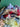 670dca8034be6e479edf2839_img-7920_1785082588183.jpeg