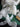 670dca8034be6e479edf2839_img-7926_1785082992643.jpeg