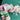 670dca8034be6e479edf2839_img-7935_1785083355622.jpeg