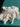 670dca8034be6e479edf2839_img-7943_1785083541222.jpeg