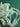 670dca8034be6e479edf2839_img-7958_1785083871043.jpeg
