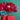 670dca8034be6e479edf2839_img-7963_1785084068364.jpeg