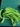 670dca8034be6e479edf2839_img-7974_1785084419454.jpeg