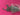 670dca8034be6e479edf2839_img-8017_1780680134379.jpeg