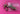 670dca8034be6e479edf2839_img-8051_1780855559031.jpeg