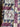 670dca8034be6e479edf2839_img-8059_1785088511337.jpeg