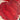 670dca8034be6e479edf2839_img-8112_1785284527094.jpeg