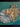 670dca8034be6e479edf2839_img-8138_1785285606987.jpeg