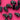 670dca8034be6e479edf2839_img-8155_1781199870873.jpeg