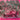 670dca8034be6e479edf2839_img-8174_1781279504301.jpeg