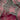 670dca8034be6e479edf2839_img-8175_1781279504302.jpeg