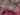 670dca8034be6e479edf2839_img-8175_1781279504302.jpeg