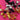 670dca8034be6e479edf2839_img-8195_1781474941437.jpeg