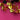 670dca8034be6e479edf2839_img-8196_1781474941438.jpeg